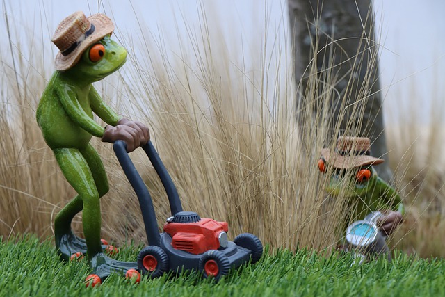 Jardinage octobre