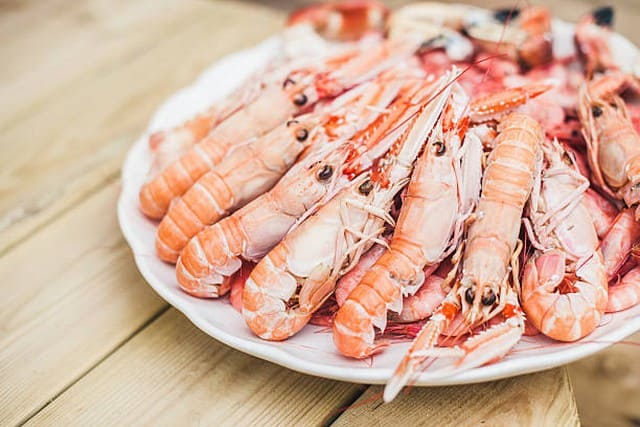 LANGOUSTINE