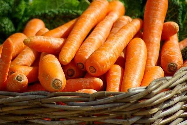 Recettes de cuisine CAROTTES A LA CREME