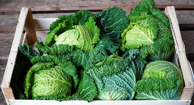 Recettes de cuisine CHOU A L'ESPAGNOLE
