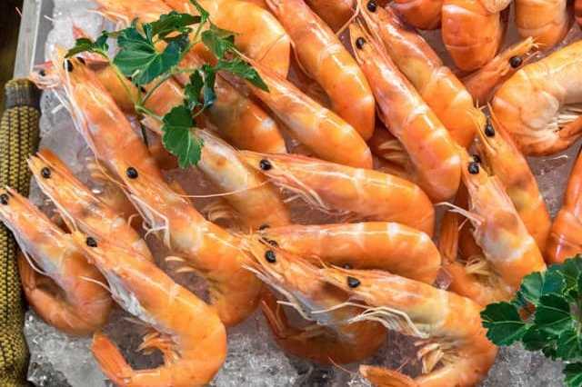 Recettes de cuisine CREVETTES EN GELEE