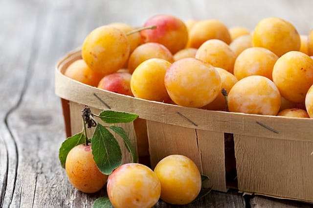 Recettes de cuisine TARTE MERINGUEE AUX MIRABELLES