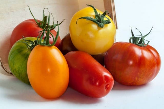 Recettes de cuisine TOMATES JURASSIENNES