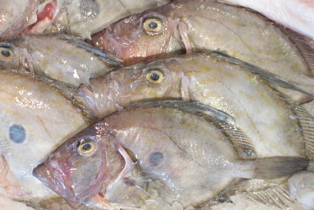 Recettes traditionnelles Bretonnes Saint-Pierre