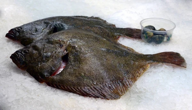 Recettes traditionnelles Bretonnes carrelets