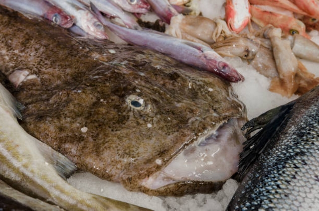 Recettes traditionnelles Bretonnes lotte