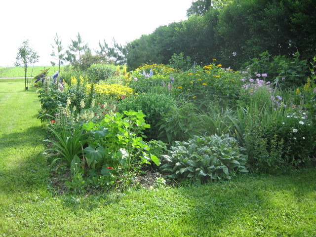 Photo jardin au carré