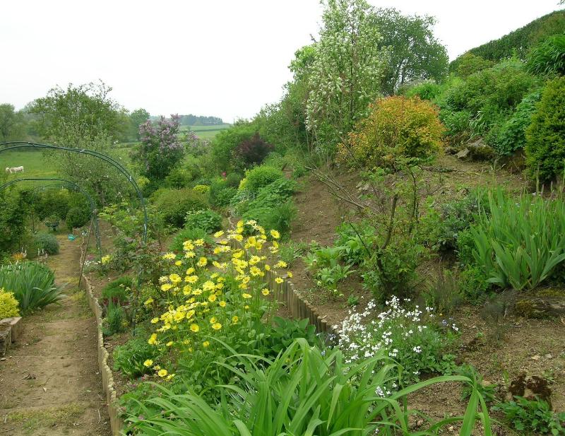 Photo jardin fleurs