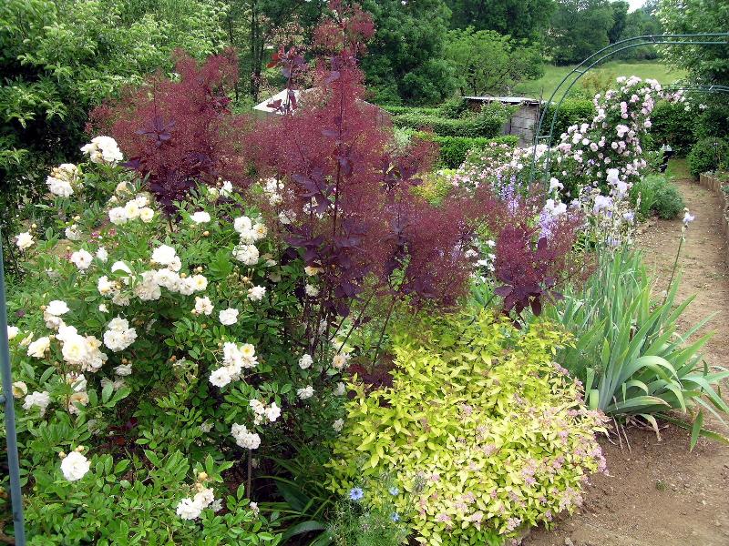 Photo jardin au boulot