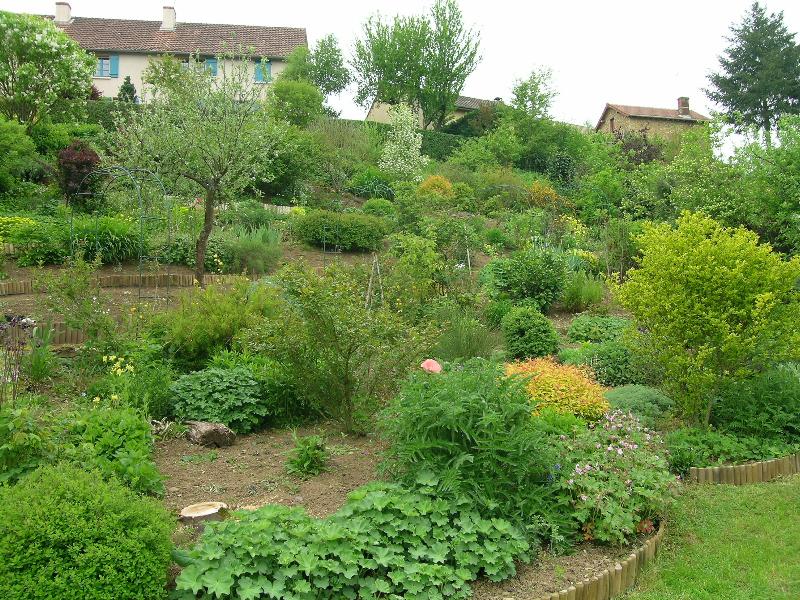 Photo bordure jardin