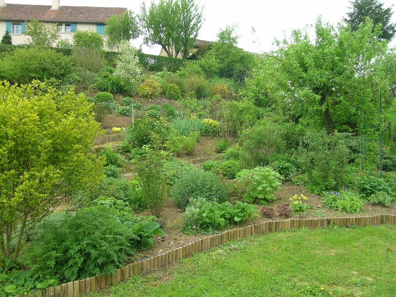 Photo jardin à étage