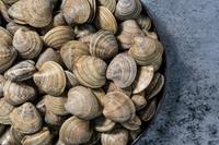 Comment cuire les clams ?