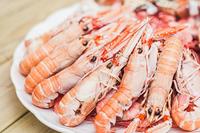 Comment cuire les langoustines ?