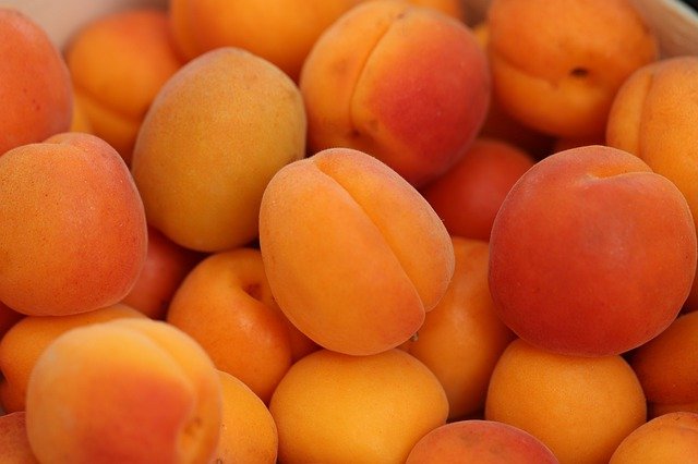 ABRICOTS
