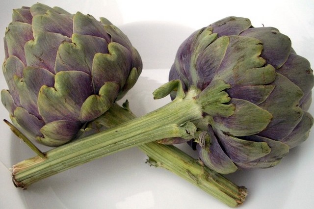 ARTICHAUTS