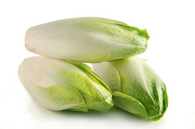 ENDIVES