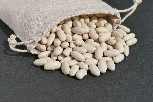 HARICOTS BLANC