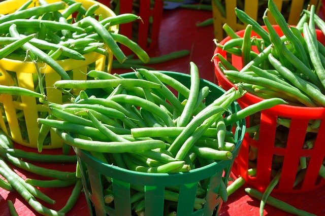 HARICOTS VERT