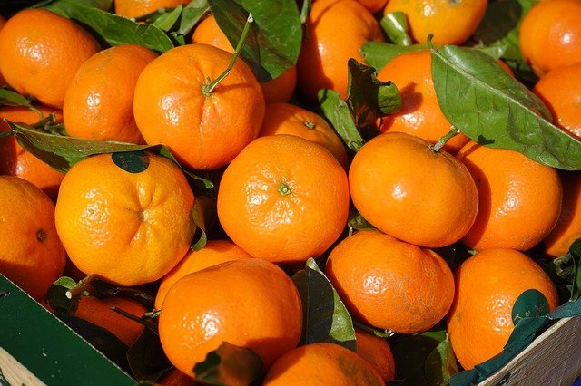 15 RECETTES MANDARINES et CLÉMENTINES