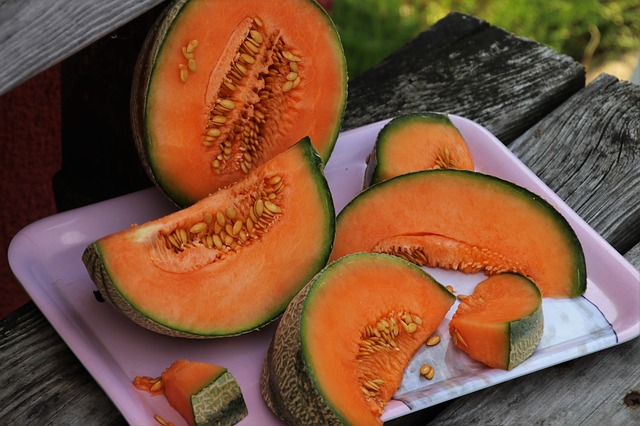 MELONS