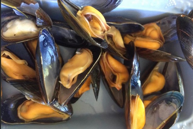 MOULES
