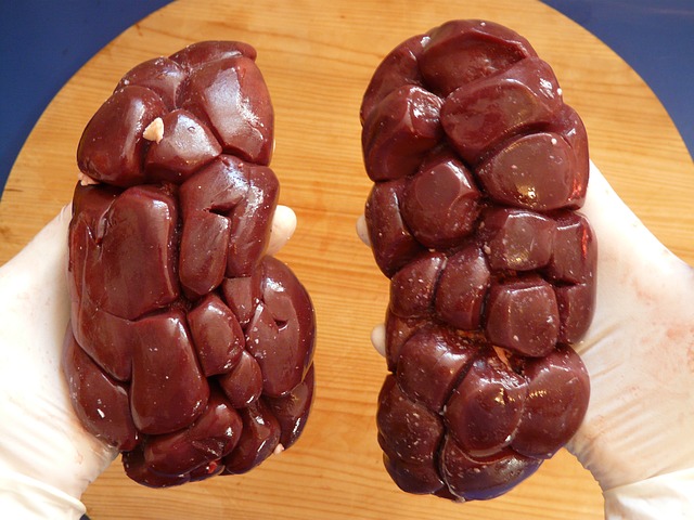 Recettes cuisine rognon de porc