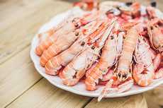 LANGOUSTINE