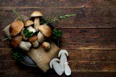 CHAMPIGNONS