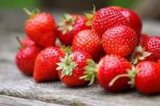 FRAISES