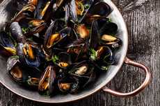 MOULES