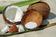 NOIX DE COCO